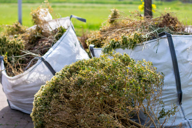 Best Estate Cleanout  in Kalona, IA